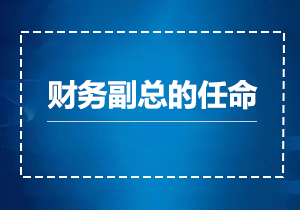 关于集团公司财务副总的任命通知